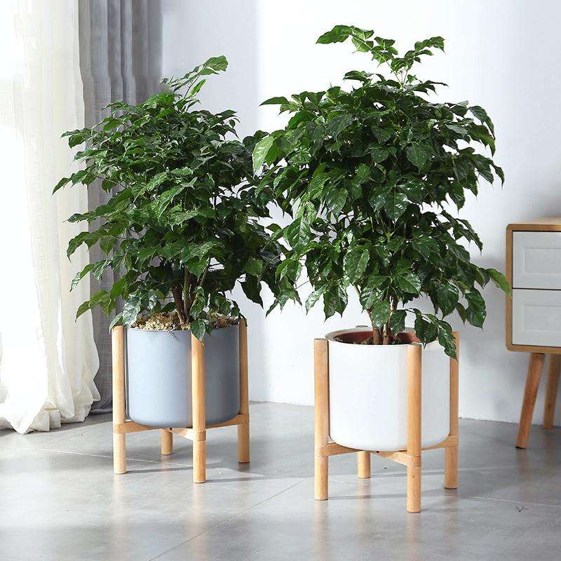 Flower Pot Set Solid Wood Flower Frame + PP Flower Pot(Grey)