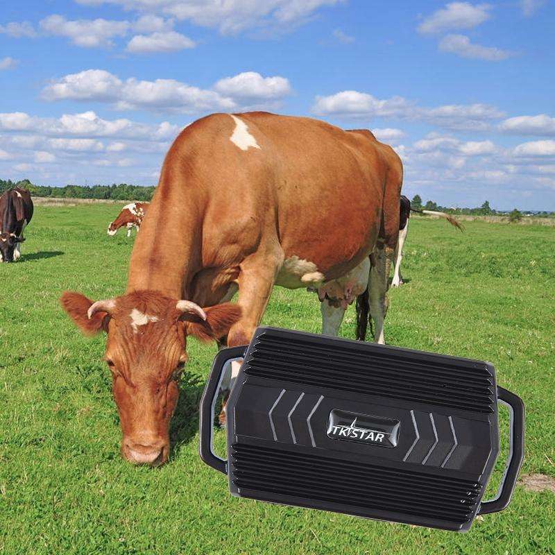 TKSTAR TK935 3000mAh GPS Pet Livestock Car Tracker IP65 Level Waterproof Locator(Black)