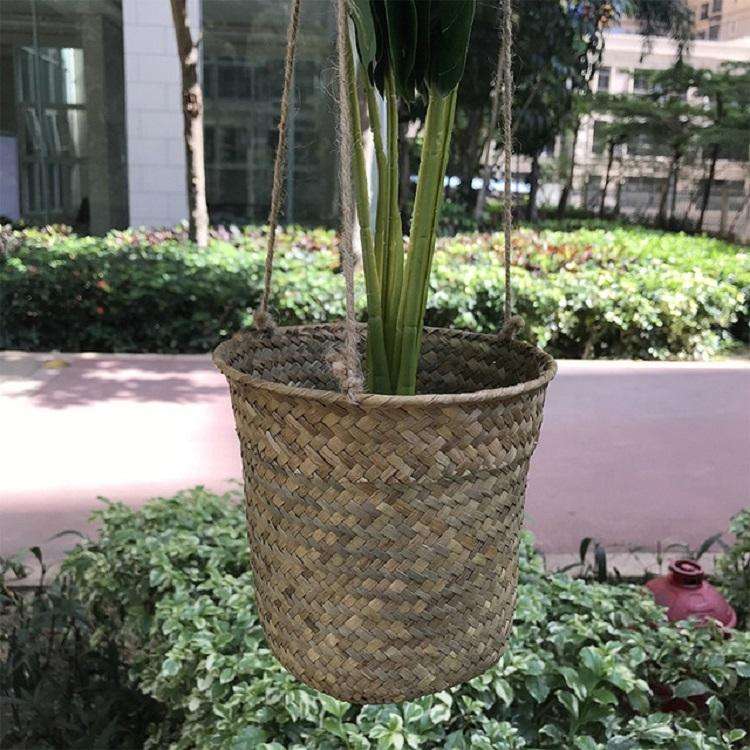 SDTGP5 Succulent Flower Basket Hanging Basket