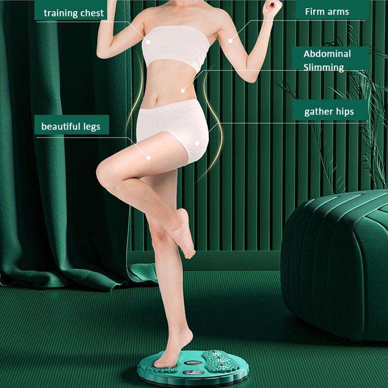 Rotating Waist Disc Twist Machine with Electronic Counter Magnetic Massage for Body Shaping, Colo...