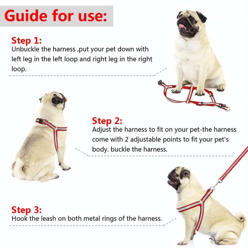 Small Medium Dogs Nylon Reflective Dog Leash Lead Set, Size:S(Blue)
