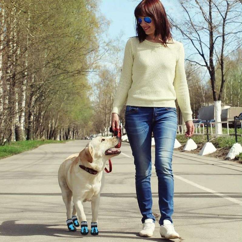 HCPET Dog Non-Slip Wear-Resistant Rain Boots Pet Outdoor Waterproof Shoes, Size: 7(Green)