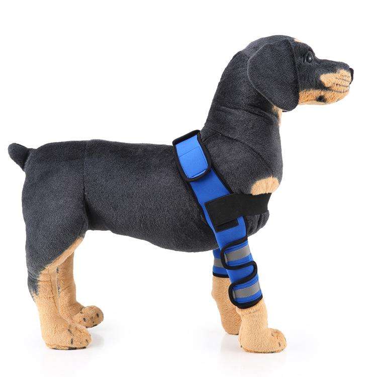 Pet Dog Leg Knee Guard Surgery Injury Protective Cover, Size: L(Anti-glory Model (Blue))