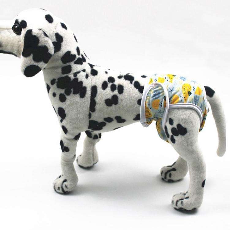 Female Dog Physiological Pants Dog Estrus Anti-Harassment Pants, Size: XS(Small Shark)