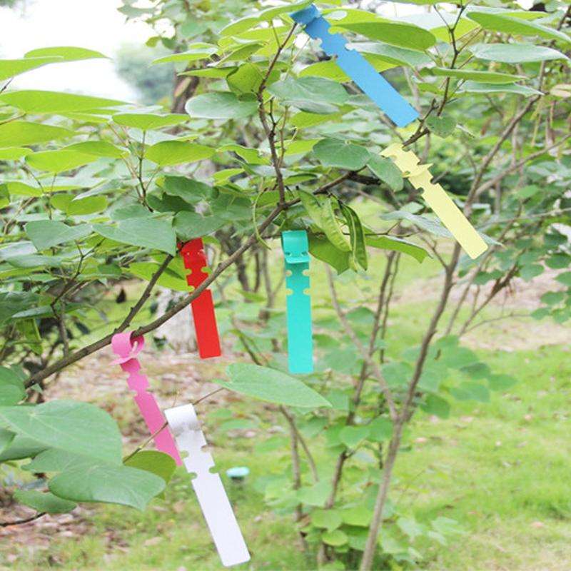 100 PCS Gardening Plant Sapling Seed Hanging Tree Label(White)