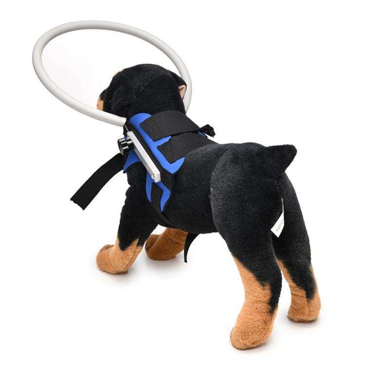 Dog Blindness Anti-Collision Ring Animal Protection Ring Cover Guide Ring, Specification: M(Blue)