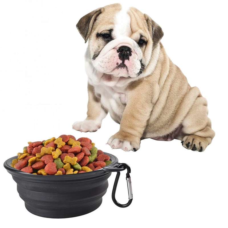 Portable Pet Folding Feeding Bowl Silicone Water Dish Feeder Puppy Travel Bowl, Random Color Deli...