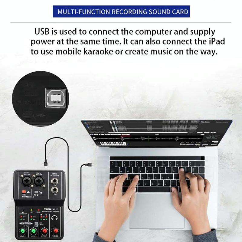 TEYUN Q-12 Computer Recording Sound Card USB Drive-free Recording Arranger(Black)