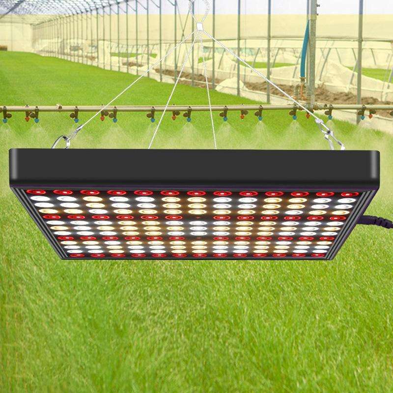 Large 169 LEDs Quantum Plant Growth Lighting Outdoor Full Spectrum Planting Lamp(UK Plug)