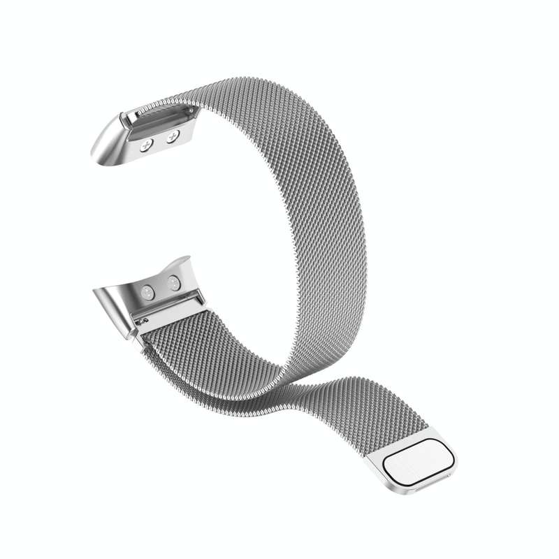 For Garmin Forerunner 45 / 45S / Swim 2 Milanese Watch Band(Silver)
