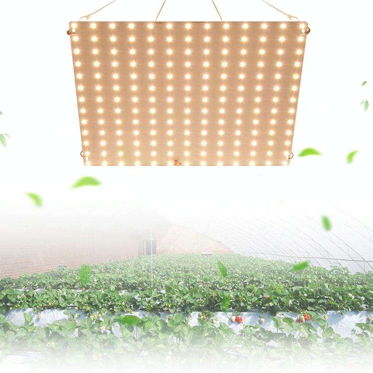 LED Plant Growth Light Indoor Quantum Board Plant Fill Light, Style: D2 45W 169 Beads UK Plug (Pi...