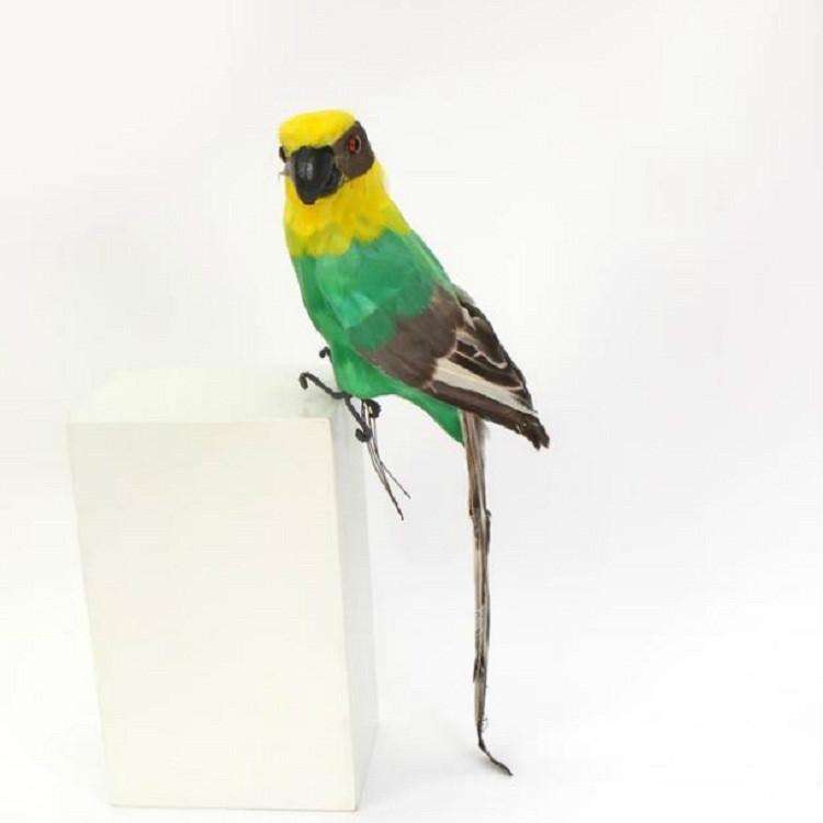 45CM Simulation Parrot Simulation Bird Macaw Foam Feather Parrot Sen Gardening Decoration, Color:...
