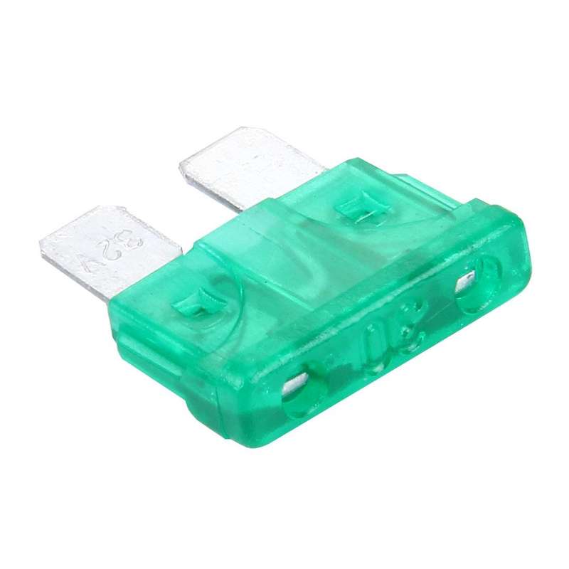 100 PCS Auto Mini Blade Fuse (30A) , DC 12V(Green)
