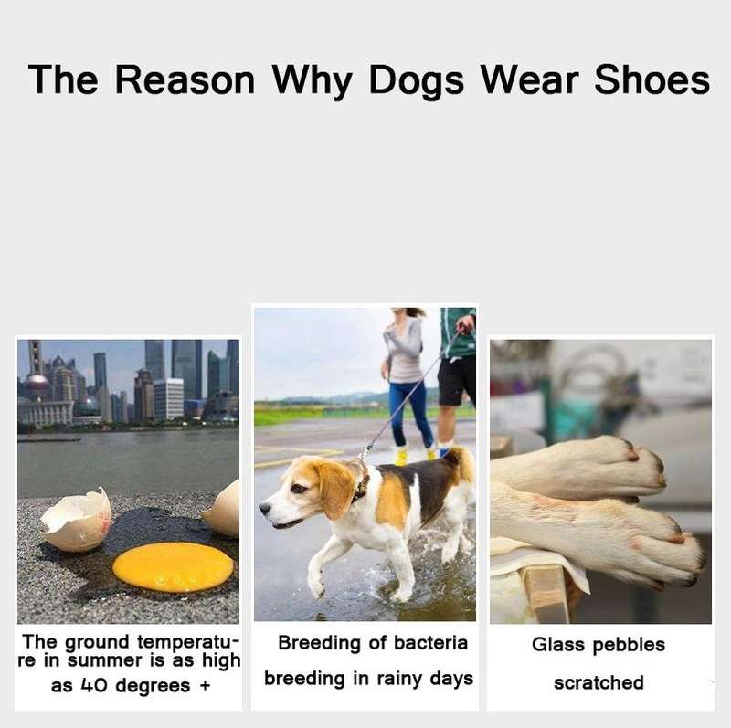JML Pet Sports Shoes Non-Slip Wear-Resistant Comfortable Breathable Dog Shoes, Size: 3(Blue)