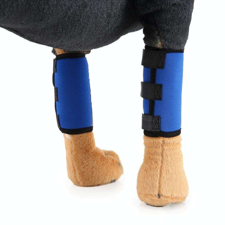 Pet Knee Protector Dog Surgery Injury Protective Cover, Size: S(Blue Reflection)