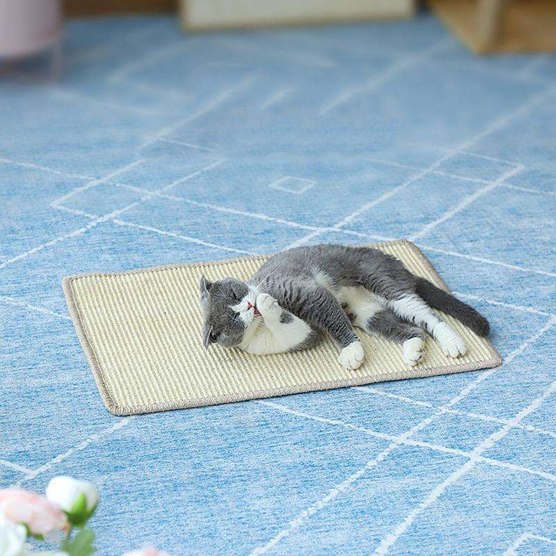 Cat Scratch Pad Pet Supplies Carpet Sleeping Mat Cat Placemat, Random Color Delivery, Specificati...