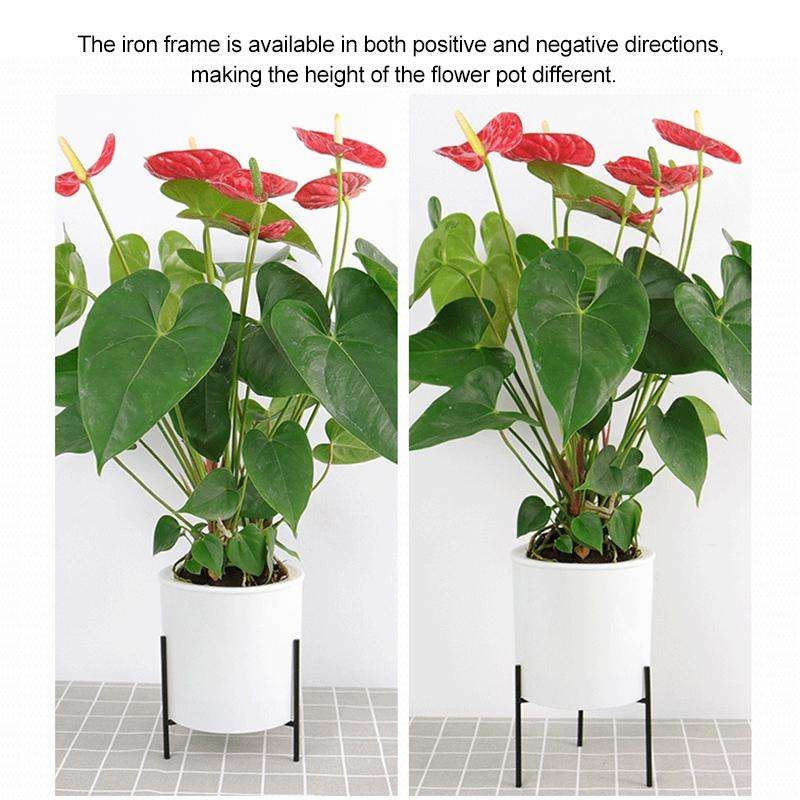 110mm PP Planter Flower Pot Automatic Water-absorbing Lazy Flower Pot, with Shelf