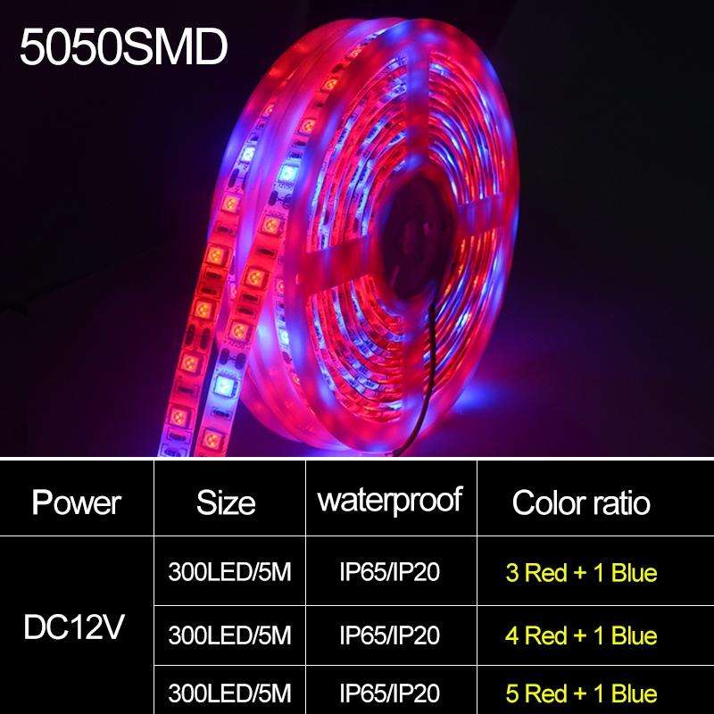 5m 300 LEDs SMD 5050 Full Spectrum LED Strip Light Fitolampy Grow Lights for Greenhouse Hydroponi...