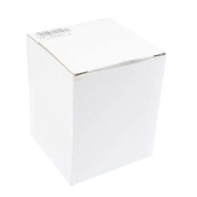 Plug Adapter, World Travel Adapter 2 & USB Charger