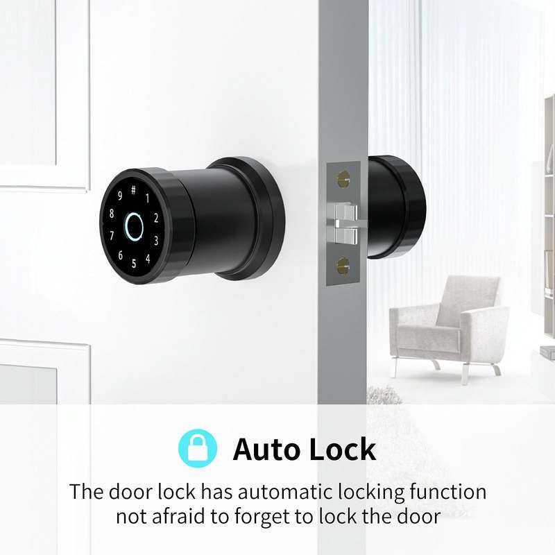 F20 Intelligent Fingerprint Lock Indoor Office Apartment Spherical Lock Doodle APP Lock
