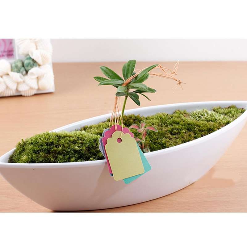 100 PCS Waterproof Durable and Reusable Plastic Nursery Garden Plant Label Flower Tag Mark Plant ...