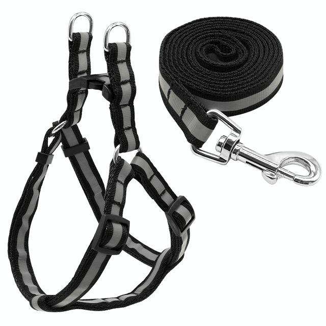 Small Medium Dogs Nylon Reflective Dog Leash Lead Set, Size:S(Black)