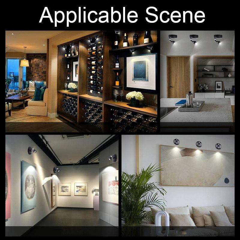 TL006-SIN Jewelry Art Exhibition USB Charging Decorative Wall-mounted LED Spotlights with Remote ...