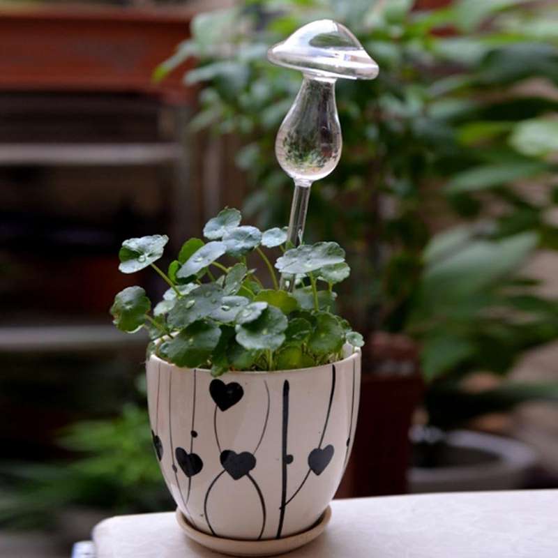 Mushroom Shape House Plants Flowers Water Feeder Automatic Self Watering Clear Glass Devices(Tran...