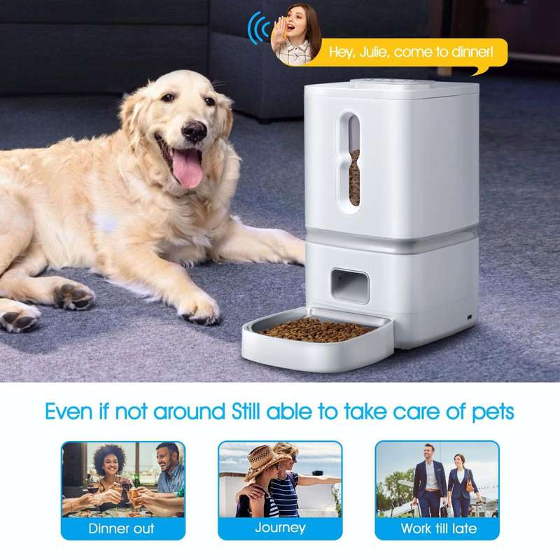 7L Smart Pet Feeder Timed Quantitative Large Window Cat And Dog Food Dispenser, Plug Type: EU Plug