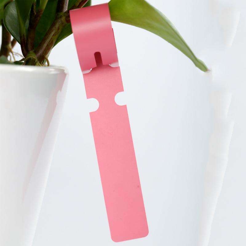 100 PCS Gardening Plant Sapling Seed Hanging Tree Label(White)