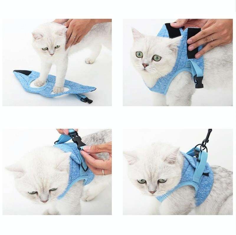 Cat Leash Pet Chest Harness Leash, Size: L(Grey)