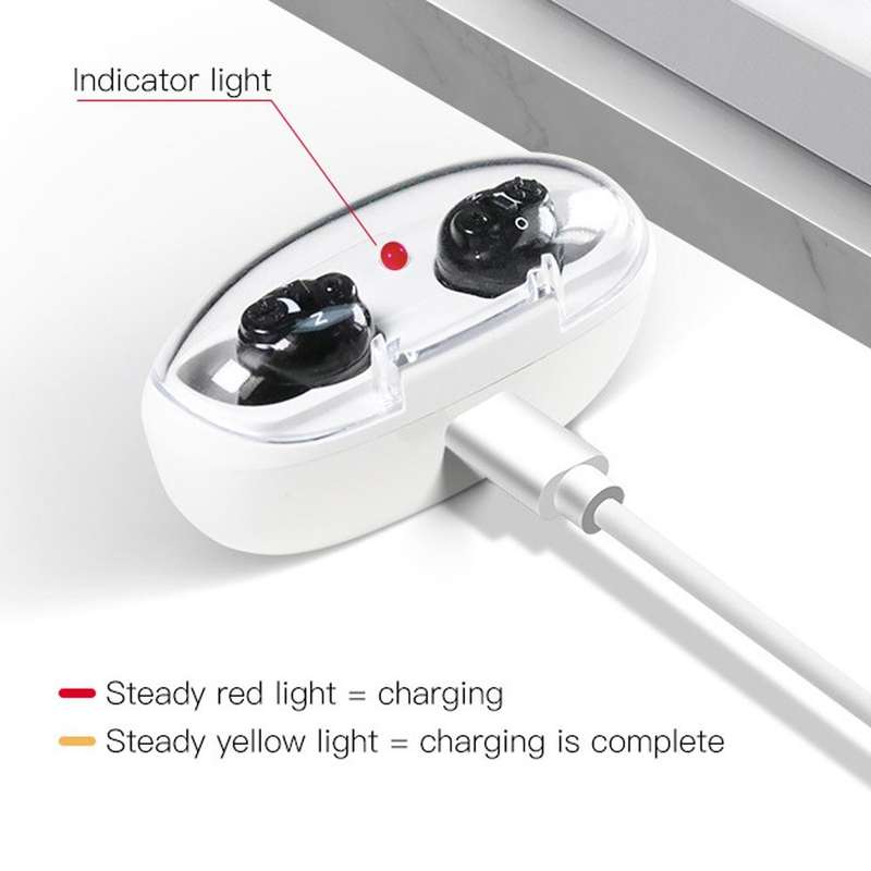 Magnetic Charge Dual-unit Sound Collector, Specification: EU Plug(Black)