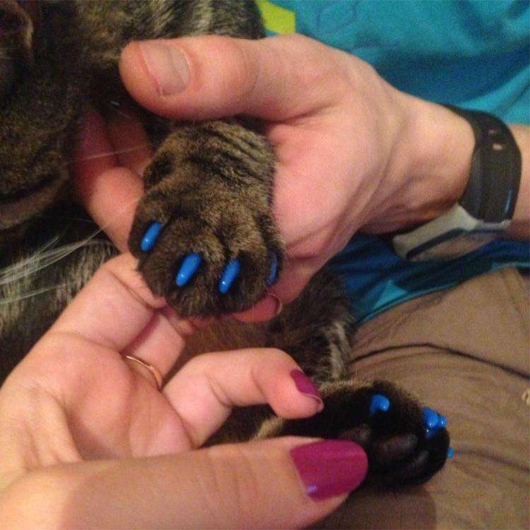 20 PCS Silicone Soft Cat Nail Caps / Cat Paw Claw / Pet Nail Protector/Cat Nail Cover, Size:L(White)