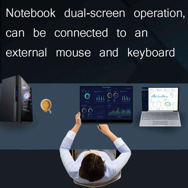 15.6 Inch Portable 1080P Display, Style:Battery Version
