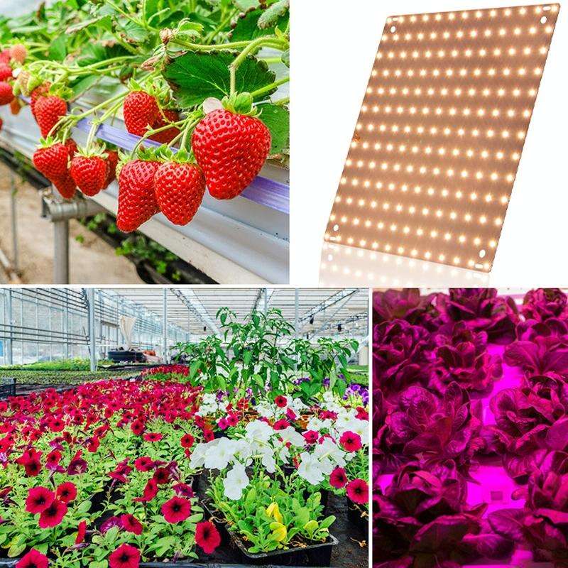 LED Plant Growth Light Indoor Quantum Board Plant Fill Light, Style: D2 45W 169 Beads UK Plug (Pi...