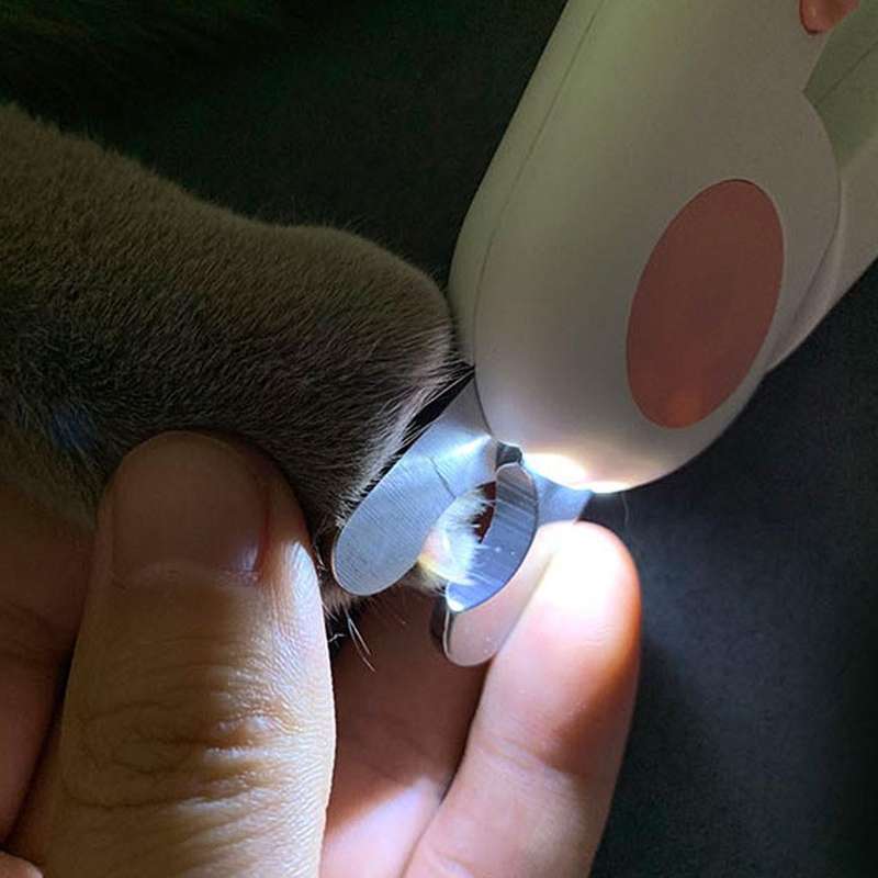 Pet Cat and Dog LED Light Nail Clippers (Blue)