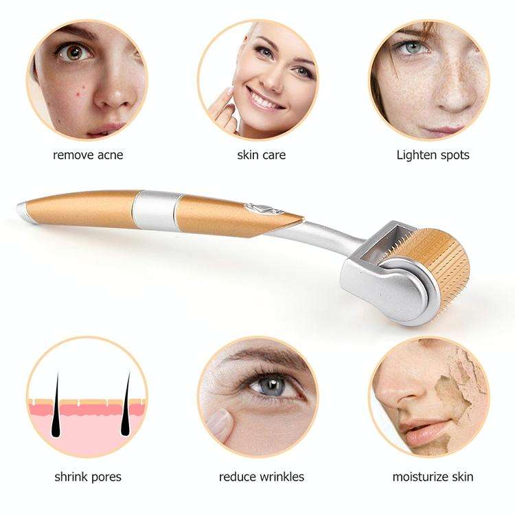 2 PCS ZGTS192 Titanium Alloy Microneedle Facial Repair Nano Roller Instrument, Specification:1.0MM