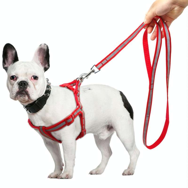 Small Medium Dogs Nylon Reflective Dog Leash Lead Set, Size:S(Blue)