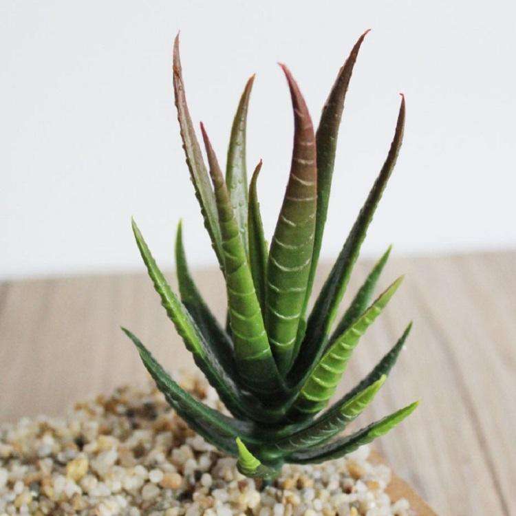 Artificial Mini Aloe Plastic Plants Craft Floristry Landscape Garden Family Office Decoration(Gre...