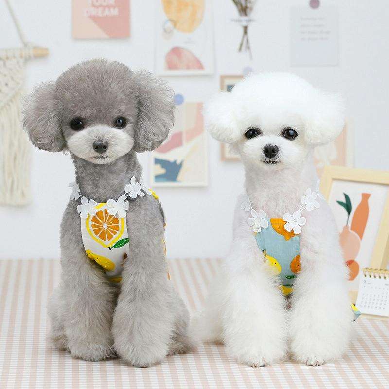 Pet Clothing Dog Cat Dress Lemon Skirt, Size: L(White)
