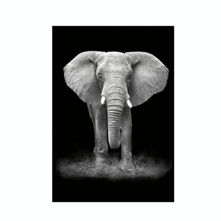 Simple Black and White Animal Decoration Painting Study Living Room Sofa Background Wall Painting...