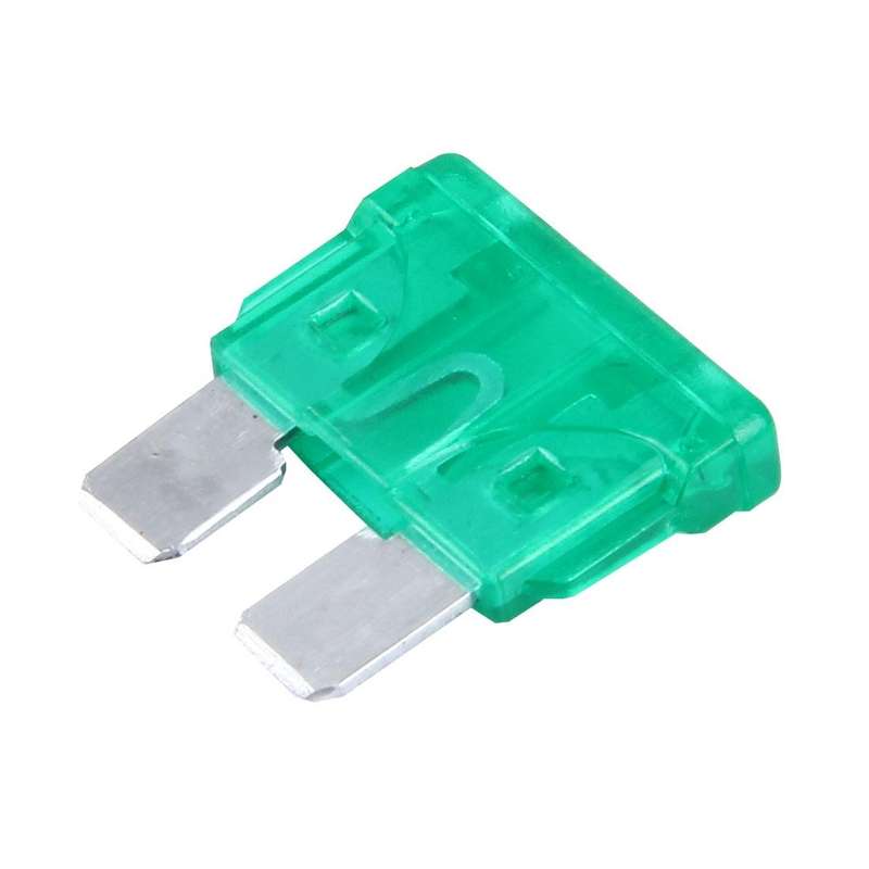 100 PCS Auto Mini Blade Fuse (30A) , DC 12V(Green)