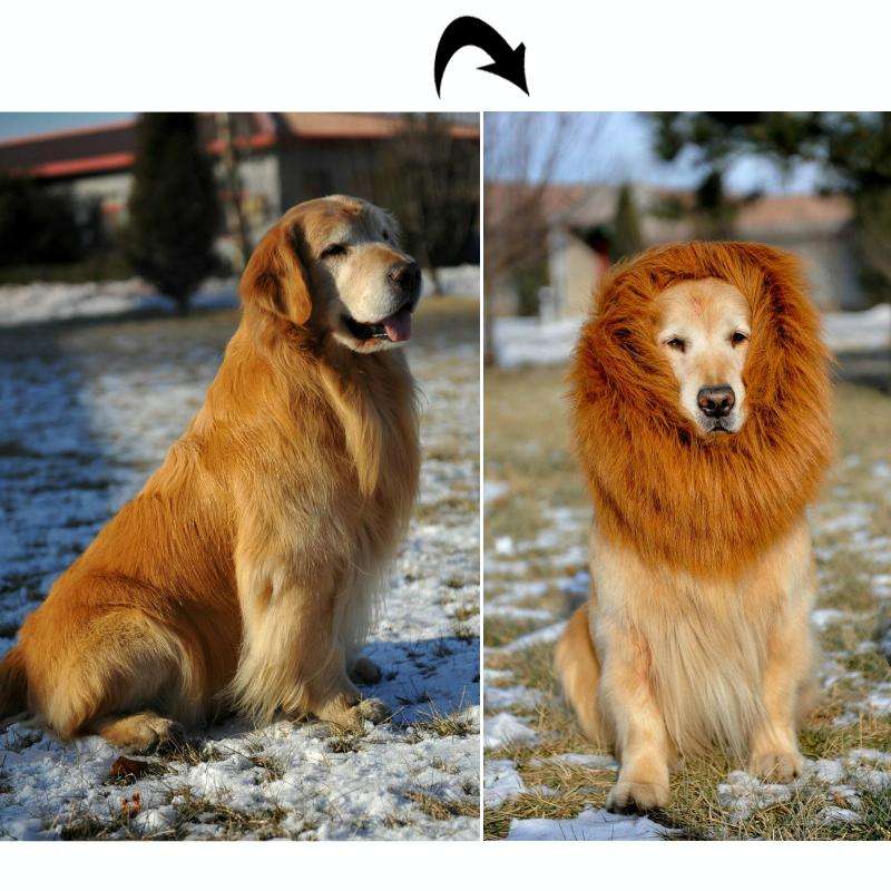 Large Pet Dog Cat Lion Wigs Mane Hair Festival Party Fancy Dress Clothes Costume(White)