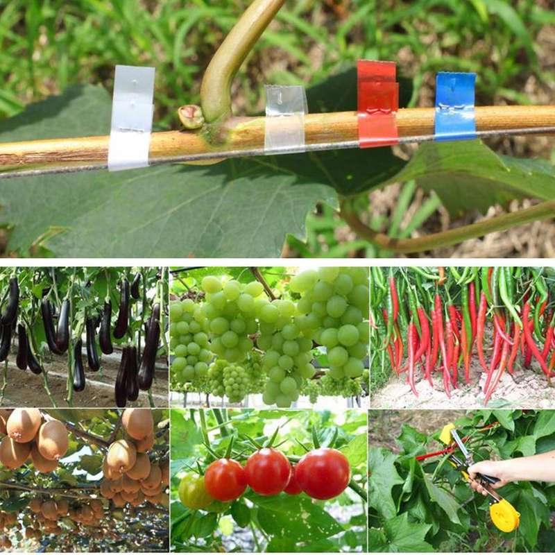 Agriculture Tape Tool Hand Tying Machine Garden Plant Tape Tool Tapener Machine Adhesive Tape Mac...