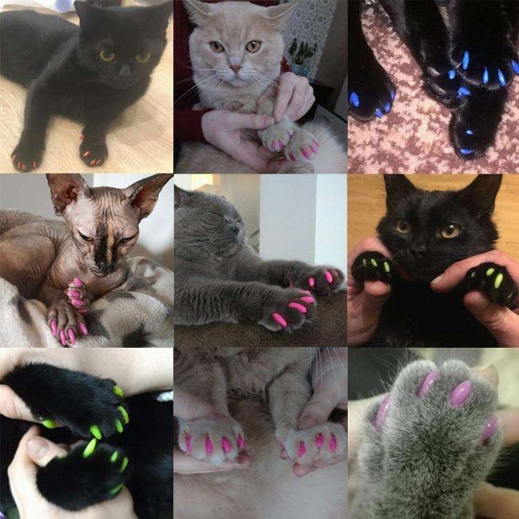 20 PCS Silicone Soft Cat Nail Caps / Cat Paw Claw / Pet Nail Protector/Cat Nail Cover, Size:L(Ros...