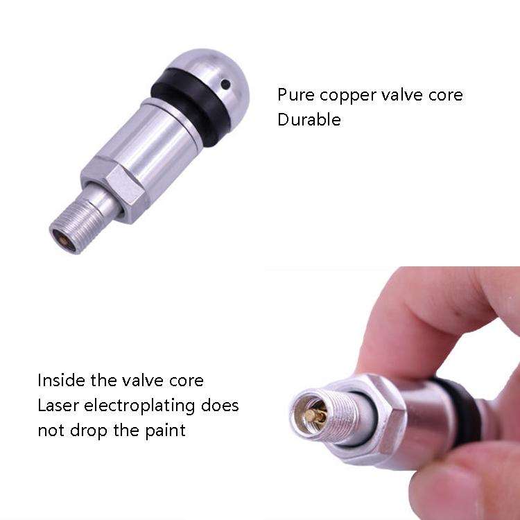 10 Sets Car Tire Air Nozzle Aluminum Alloy Vacuum Tire Hub Car Tire Valve Core Explosion-Proof Un...
