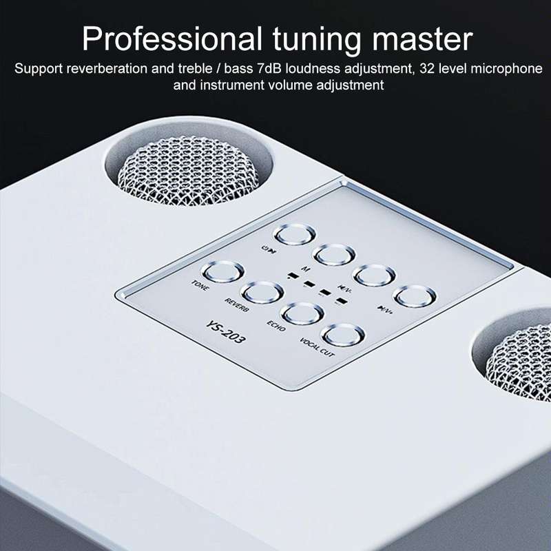 YS-203 Bluetooth Karaoke Speaker Wireless Microphone(Black)