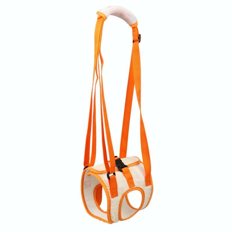 Pet Leash Assistive Belt For Postoperative Disabled Elderly Dogs Hind Legs XL