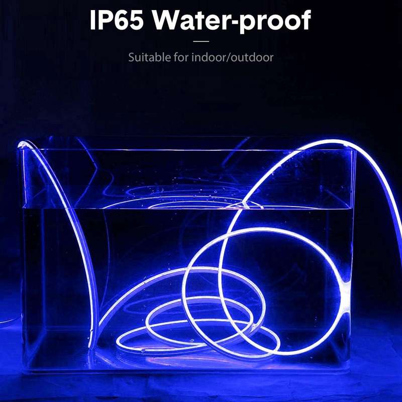CJ-1206 12V 6A 5m IP65 Waterproof Silicone Neon LED Strip Light(Blue)