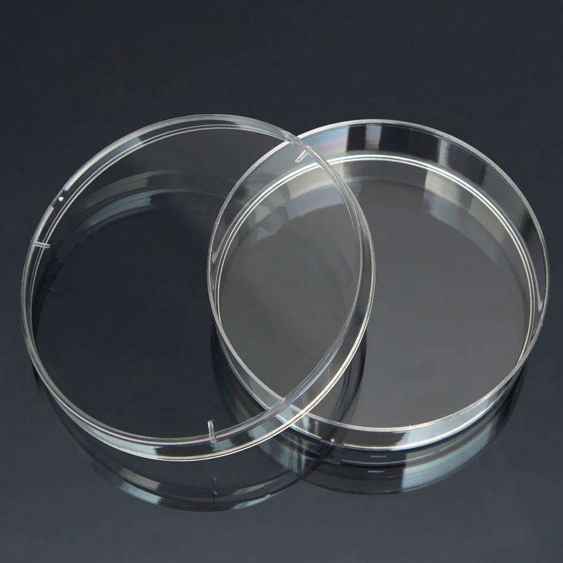 10 PCS Polystyrene Sterile Petri Dishes Bacteria Dish Laboratory Biological Scientific Lab Suppli...